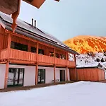 Zwergbirke *