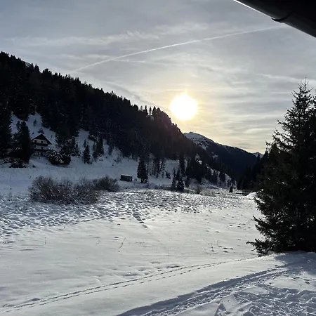 Zwergbirke Apartman Thomatal