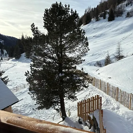 Zwergbirke Appartement