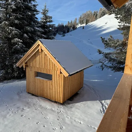 Zwergbirke Appartement Thomatal