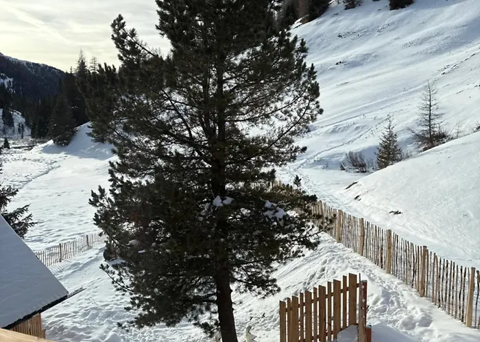 Zwergbirke Διαμέρισμα