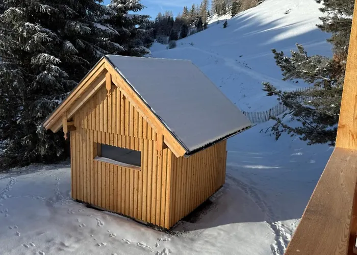 Zwergbirke Apartment Thomatal