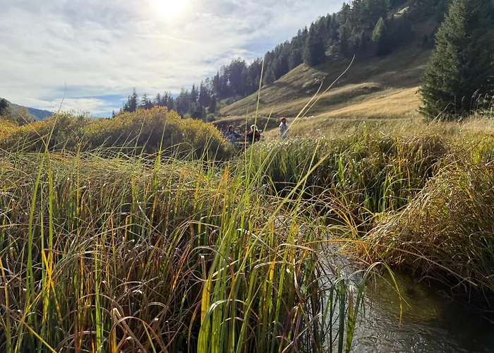 Zwergbirke Apartment